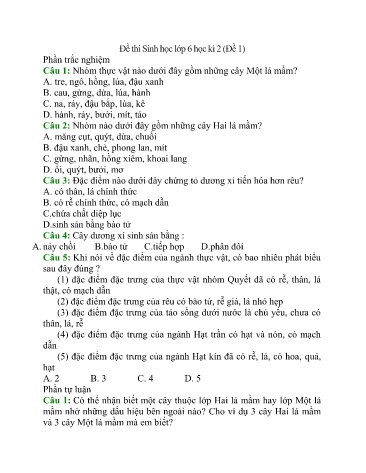 3 Đề thi học kì 2 môn Sinh học Lớp 6 (Có đáp án)