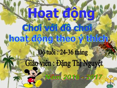 Bài giảng Mầm non Lớp Nhà trẻ - Đề tài: Chơi với đồ chơi hoạt động theo ý thích - Năm học 2016-2017 - Đặng Thị Nguyệt