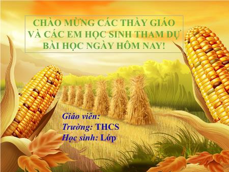 Bài giảng Toán 6 (Hình học) Sách KNTT - Chương V, Tiết 57+58, Bài 22: Hình có tâm đối xứng