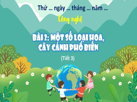 Bài giảng Công nghệ 4 (Kết nối tri thức) - Bài 2: Một số loại hoa, cây cảnh phổ biến (Tiết 3)