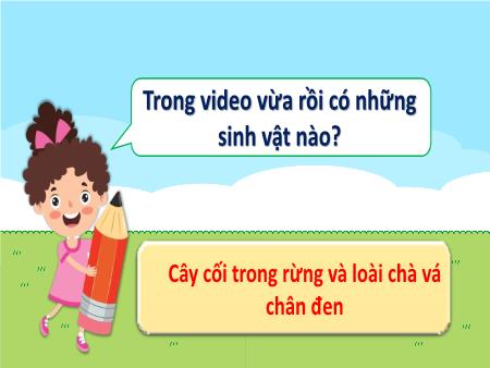 Bài giảng môn Khoa học 5 (Kết nối tri thức) - Bài 29: Tác động của con người và một số biện pháp bảo vệ môi trường