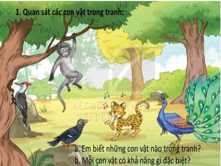 Bài giảng Tiếng Việt 1 (Kết nối tri thức) - Bài: Cuộc thi tài năng