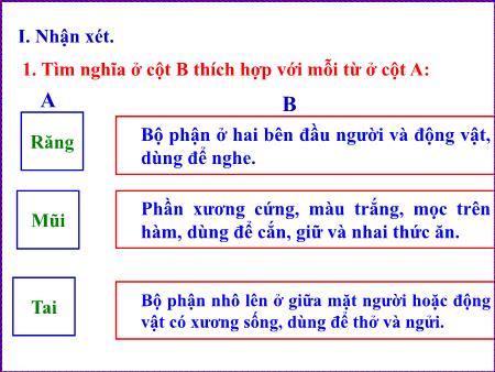 Bài giảng Tiếng Việt 5 (Luyện từ và câu) - Bài: Từ nhiều nghĩa