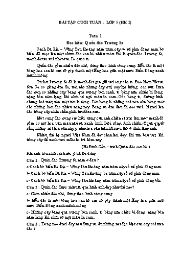 Bài tập cuối tuần môn Toán Lớp 5 học kì I