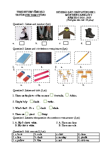 Đề khảo sát chất lượng học kì I môn Tiếng Anh 3 - Năm học 2024-2025 - Trường Tiểu học Tam Cường (Có đáp án)