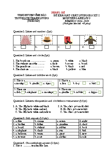 Đề khảo sát chất lượng học kỳ I môn Tiếng Anh 3 - Năm học 2024-2025 - Trường Tiểu học Thanh Lương (Có đáp án)
