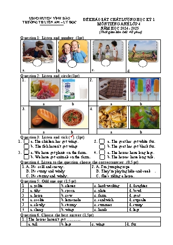 Đề khảo sát chất lượng học kỳ I môn Tiếng Anh Lớp 4 - Năm học 2024-2025 - Trường Tiểu học Thiên Am - Lý Học (Có đáp án)