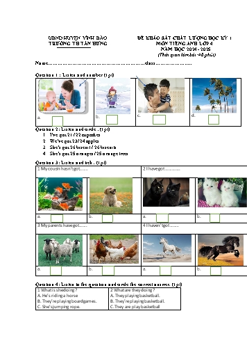 Đề khảo sát chất lượng học kỳ I môn Tiếng Anh Lớp 4 - Năm học 2024-2025 - Trường Tiểu học Tân Hưng (Có đáp án + File nghe)