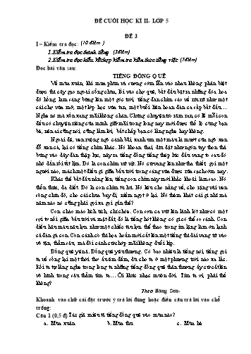 Đề thi cuối học kì II môn Tiếng Việt Lớp 5 - Đề 3