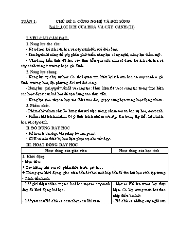 Kế hoạch bài dạy Công nghệ 4 (Kết nối tri thức) - Bài 1: Lợi ích của hoa và cây cảnh Kế hoạch bài dạy Công nghệ 4 (Kết nối tri thức) - Bài 1: Lợi ích của hoa và cây cảnh
