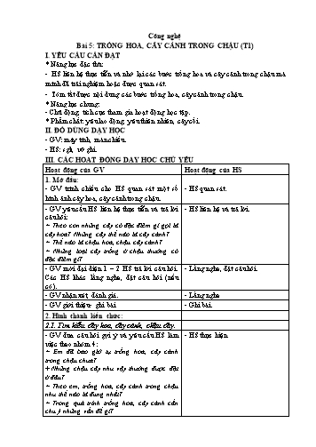 Kế hoạch bài dạy Công nghệ 4 (Kết nối tri thức) - Bài 5: Chăm sóc hoa, cây cảnh trong chậu