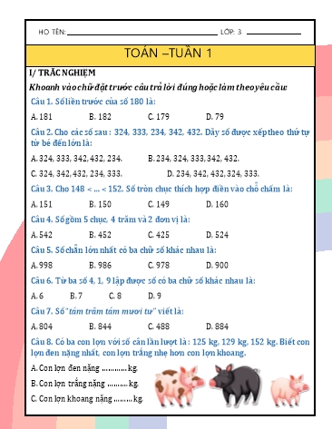 Phiếu bài tập cuối tuần môn Toán Lớp 3 - Chương trình học kì 1